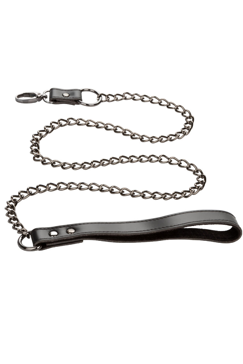 Chain Halter & Leash